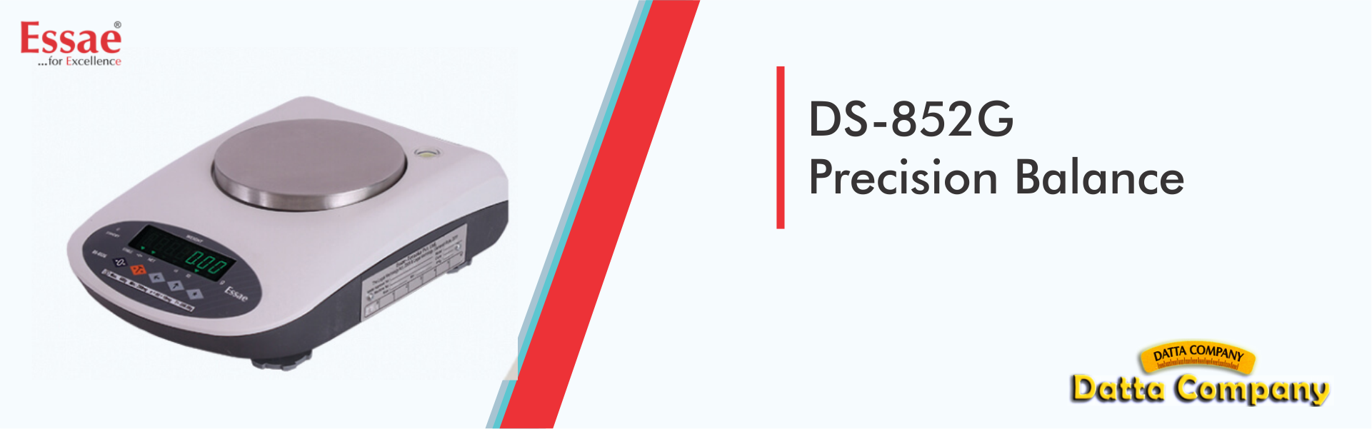 DS-852G Precision Balance